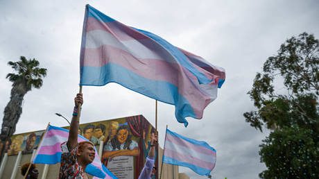 File photo: A Transgender Pride flag at the LA Pride Parade in Hollywood, California, June 11, 2023.